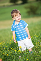 boy on the meadow