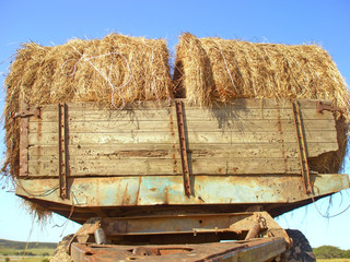 Two rolls of hay