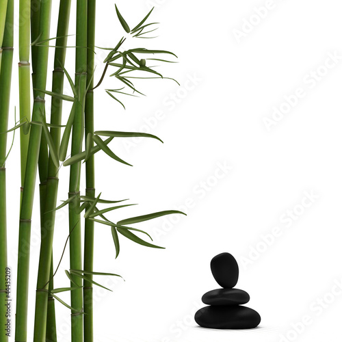 Foto-Schiebevorhang einzelne Stoffpaneele - Bambus mit Lavastein (von imagophotodesign)