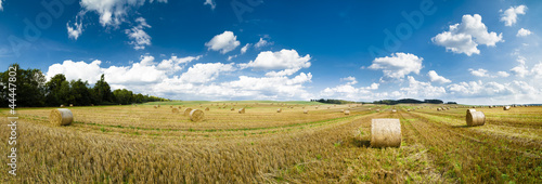Plissee mit Motiv - Strohballen auf einem Feld als Panoramafoto (von Tilo Grellmann)
