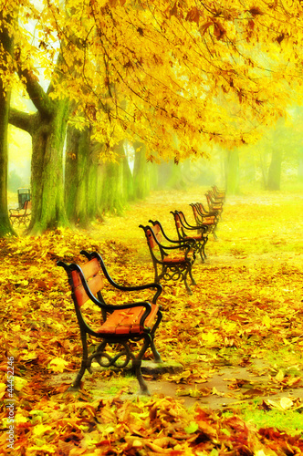 Naklejka na kafelki Row of red benches in the park