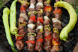 kebabs on the barbecue grill