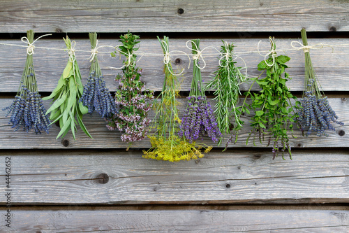 Naklejka - mata magnetyczna na lodówkę Herbs drying on the wooden barn in the garden