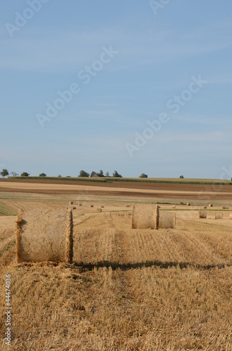 Landschaft mit Strohballen Tableau sur Toile