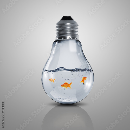 Fotografía Gold fish inside an electric bulb