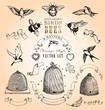 Vintage Style Birds, Bees and Banners Vector Set