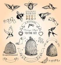 Vintage Style Birds, Bees And Banners Vector Set