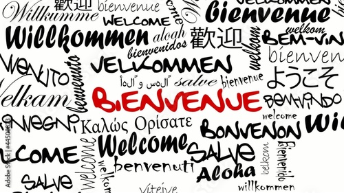 Fotografie, Obraz Bienvenue traduction international nuage de mots noir vidéo