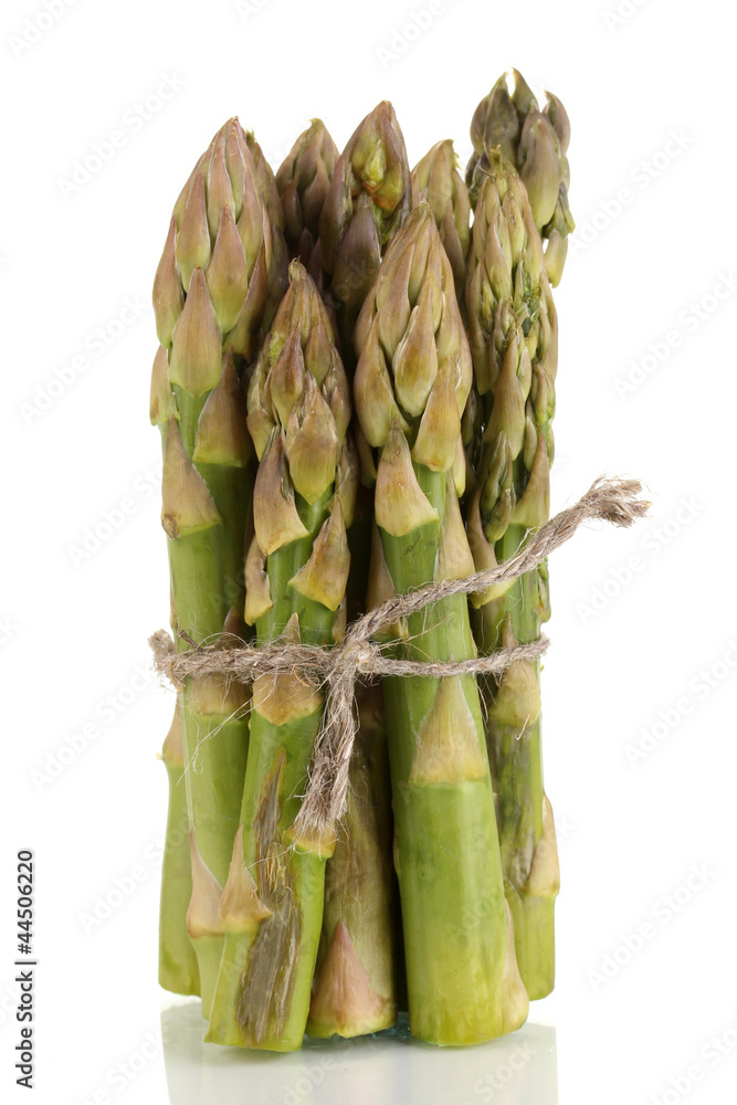 Useful asparagus isolated on white