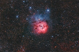 Fototapeta Kosmos - Trifid-Nebel
