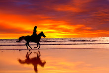 Silhouette Of  Girl Skipping On A Horse  On A Sunset