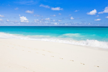 Poster - Foul Bay, Barbados, Caribbean