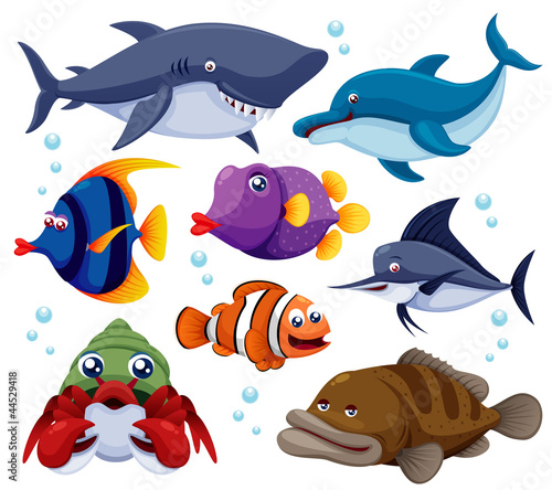 Naklejka na meble illustration of fish sea vector