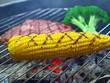 grilling meat & vegetables