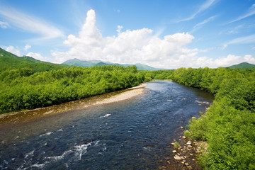 river summer landscape