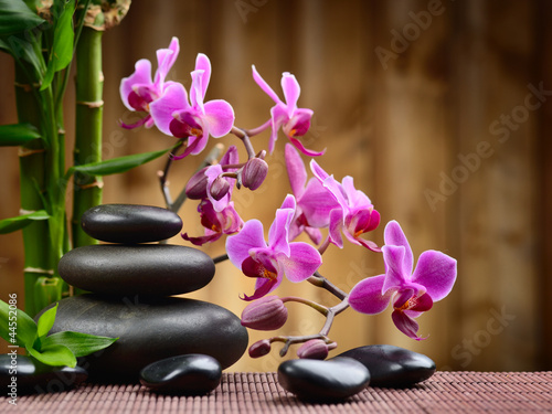 Nowoczesny obraz na płótnie Kamyczki ZEN z bambusem i różową gałązką orchidei