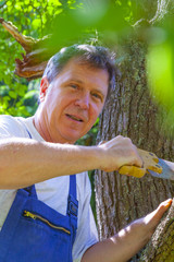 man cutting a tree with a saw