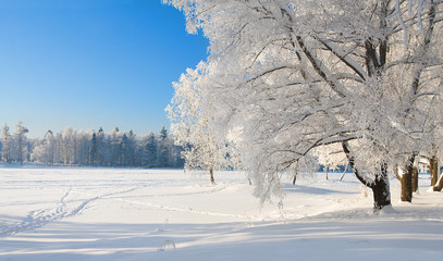 Aufkleber - Winter park in snow