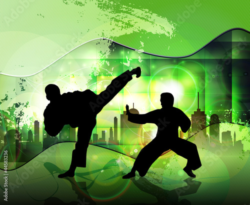 Board z aluminiowym obramowaniem Ilustracja karate