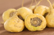 Maca roots or Peruvian ginseng (lat. Lepidium meyenii)