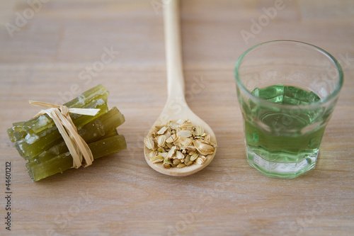 Photographie  angélique : confite, graines et liqueur