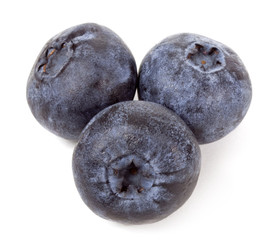 Wall Mural - Issolated blueberry on white background