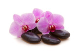 Fototapeta Panele - Massage Stones with Orchid
