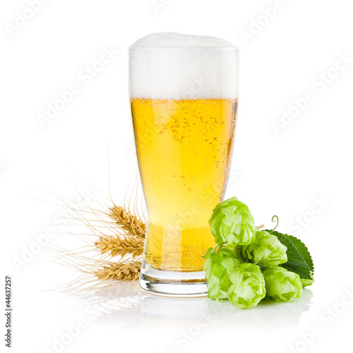 Naklejka na szybę Glass of fresh beer with Green hops and ears of barley isolated