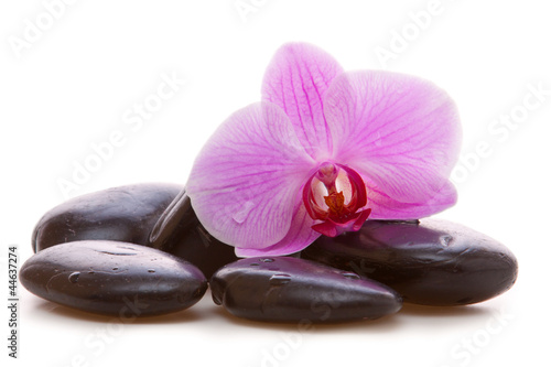 Foto-Kissen - Massage Stones with Orchid (von Swetlana Wall)