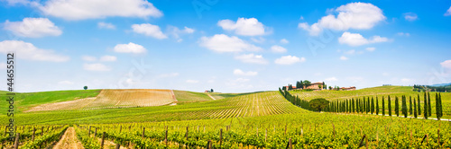 Board z aluminiowym obramowaniem Panorama krajobraz Toskanii z winnic, regionu Chianti, Włochy