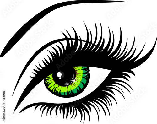 Naklejka - mata magnetyczna na lodówkę Vector illustration beautiful female green eye