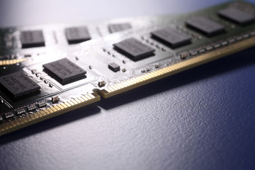 ram