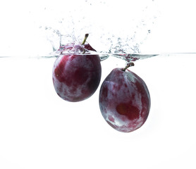 Poster - Fresh plums in water splash