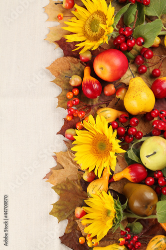 Naklejka dekoracyjna Autumn frame with fruits, pumpkins and sunflowers