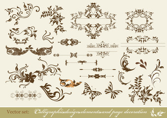Wall Mural - calligraphic design elements and page decoration