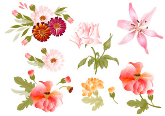 Poster - Color illustration of flowers in vector paintings