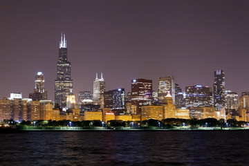 Wall Mural - financial district (night view Chicago)