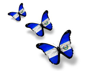 Three Salvador flag butterflies, isolated on white