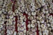 Markttag in der Provence: frischer Knoblauch