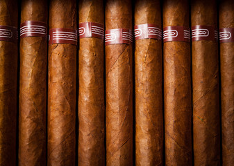 Sticker - background cigars in humidor