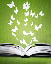 Opened Book And Butterflies