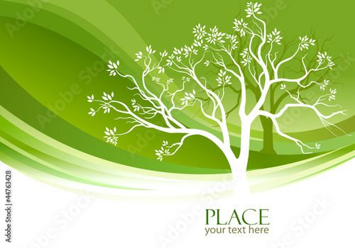 Fototapeta do kuchni Abstract Tree in olive-green background