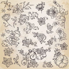 Wall Mural - Beautiful floral elements - hand drawn retro flowers - in vector