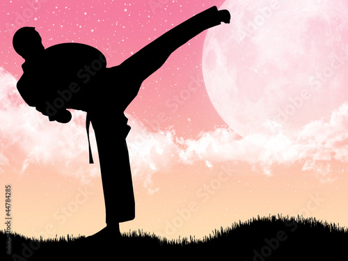 Board z aluminiowym obramowaniem Ilustracja karate