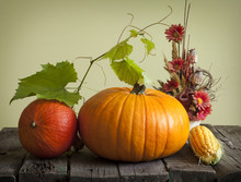 Autumn Pumpkins And Corn Vintage Still Life