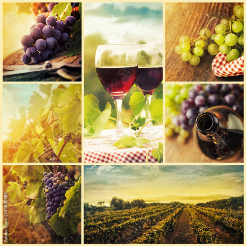 Naklejka nad blat kuchenny Country wine collage