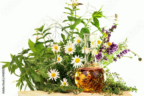Naklejka dekoracyjna Kräuter und Heilpflanzen, Homöopathie