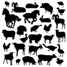 Collection Of Silhouettes Animal Farms