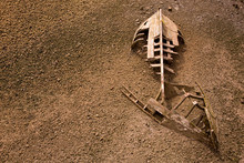 Boat Ship Skeleton Half Buried In Sand