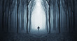 Leinwandbild Motiv Silhouette of lone man in forest